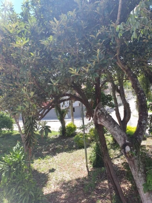 Foto 12: Sobrado em Taubaté, Locação  Foto 12: Sobrado em Taubaté, Locação